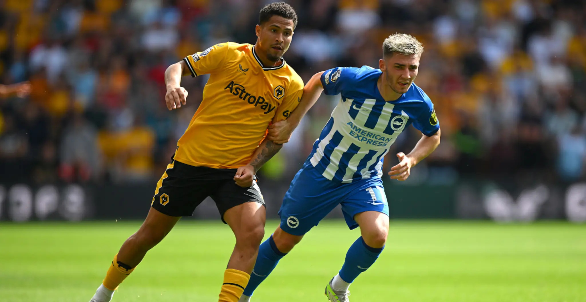 Soi kèo Brighton vs Wolves ngày 23/1