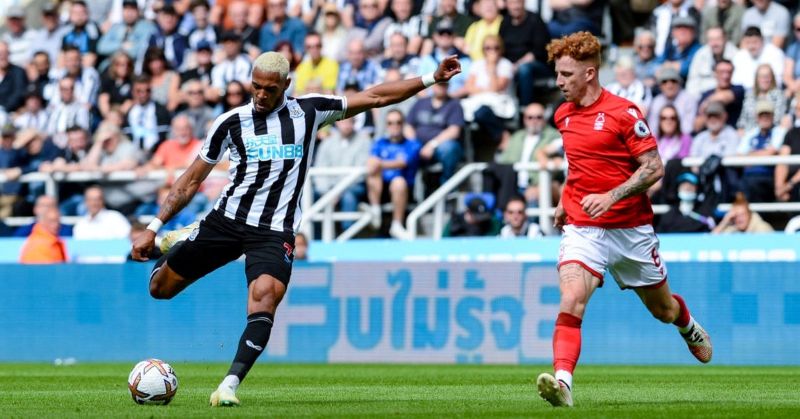 Nhận định soi kèo Newcastle vs Nottingham lúc 21h00 ngày 23/02/2025